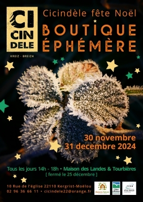 Cicindèle fête Noël