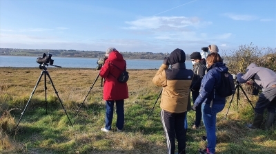 Sur la route des migrateurs