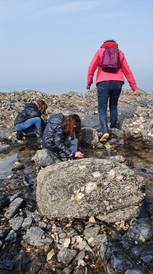 Les Animaux des rochers 