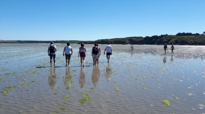 Baie de Saint-Brieuc : La petite traversée 