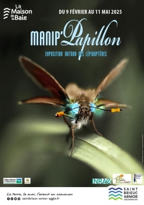 Manip’Papillon : création de votre papillon