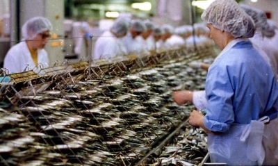 Les Filles de la sardine - Marie Hélia