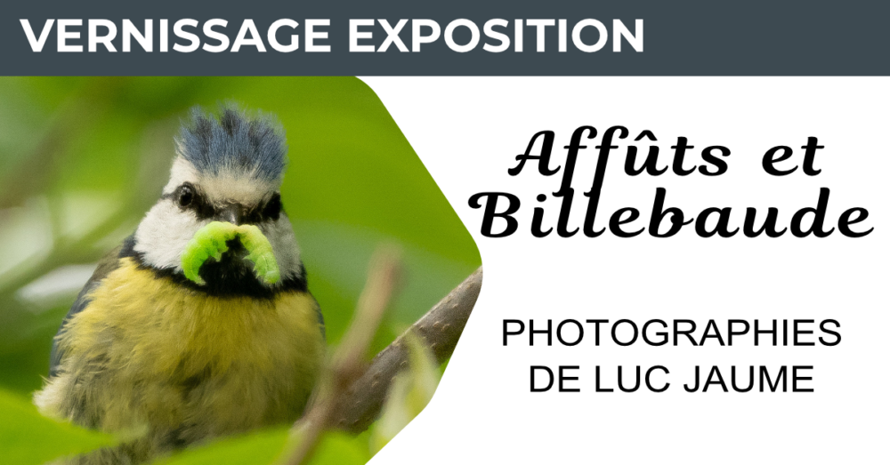 Luc Jaume • Affûts et Billebaude