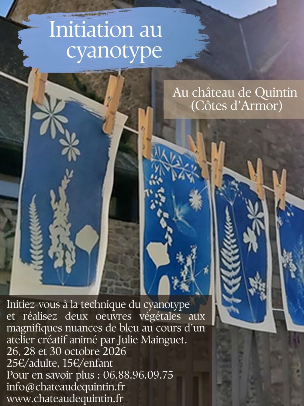 Julie Mainguet • Atelier découverte du cyanotype – Festival les Minutes Bleues