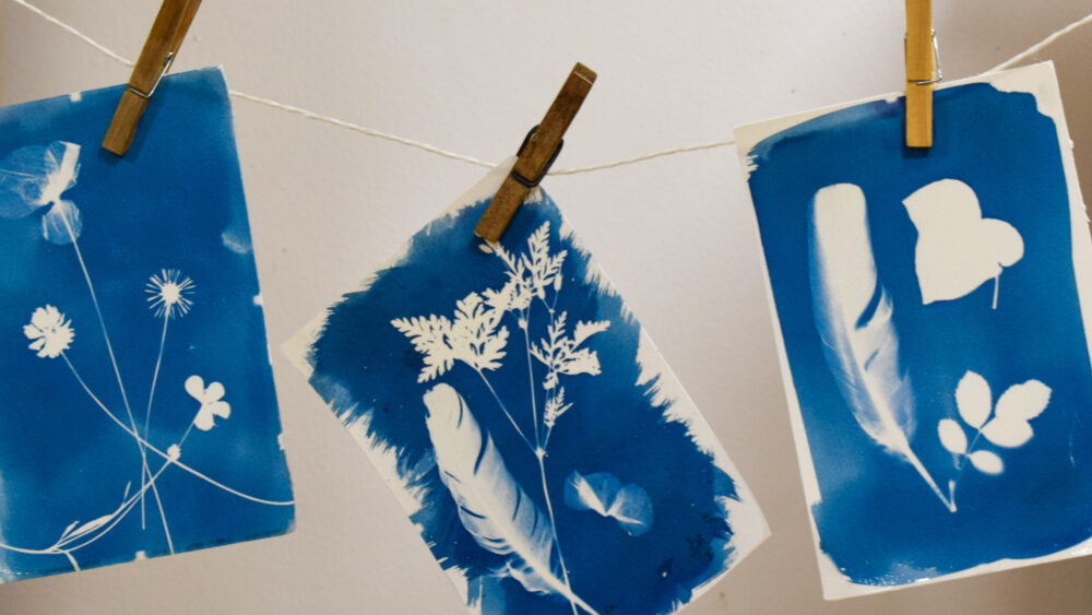 Atelier cyanotype