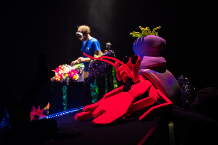 Môm&rsquo;Art : Coquille Diamant – Marc de Blanchard