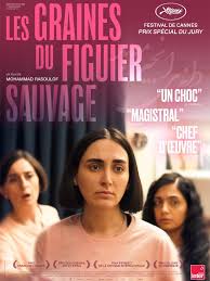 Soirée Emgav : Les Graines du figuier sauvage –