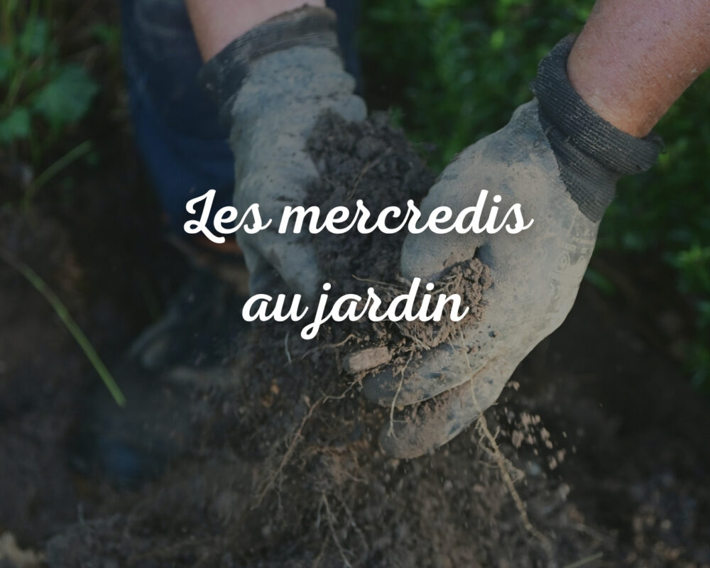 Les mercredis au jardin : taille de formation arbres et arbustes