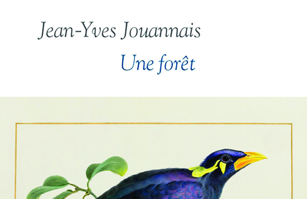 Une Forêt