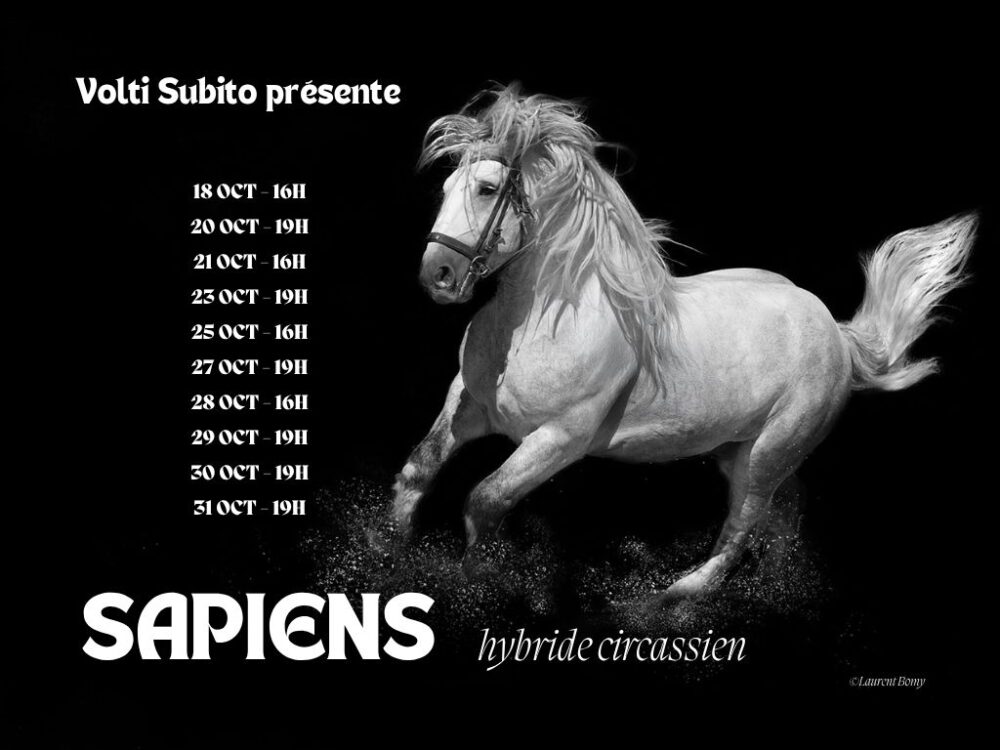 Sapiens – Cie Volti Subito